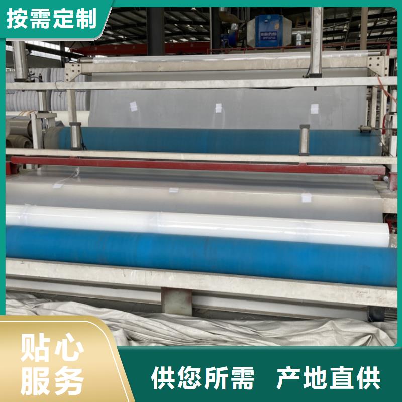 【EVA防水板】双向塑料土工格栅实体诚信经营