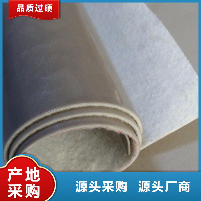 EVA防水板_短丝土工布专业信赖厂家