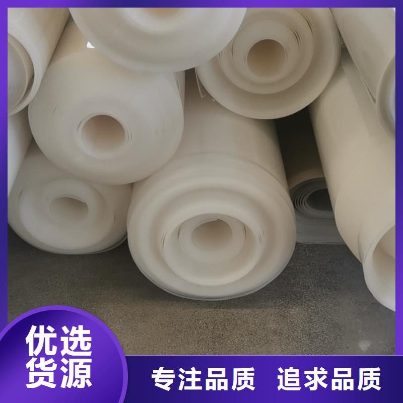 EVA防水板,钢塑土工格栅厂家质量优价格低