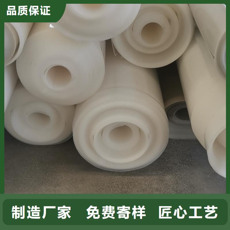 EVA防水板-钢塑土工格栅厂家产品性能