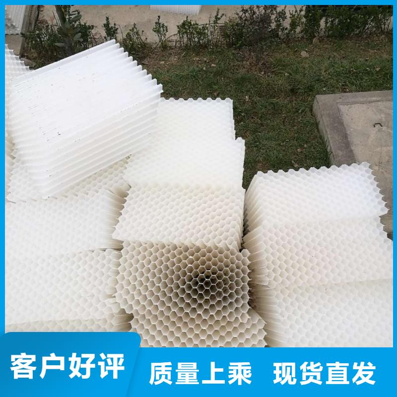 斜管填料果壳滤料准时交付