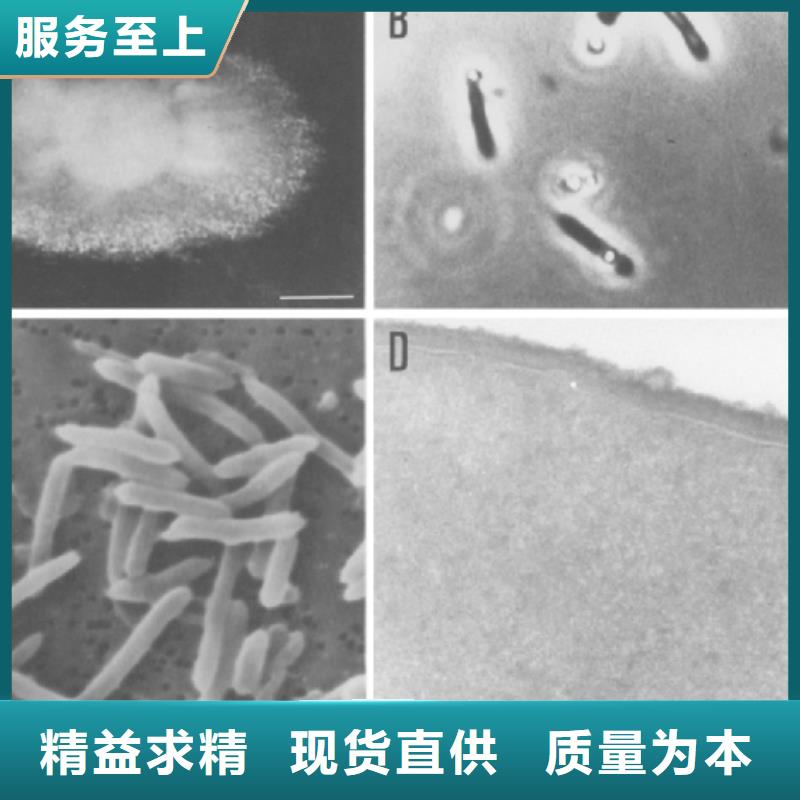污水处理厂专用碳源现货报价