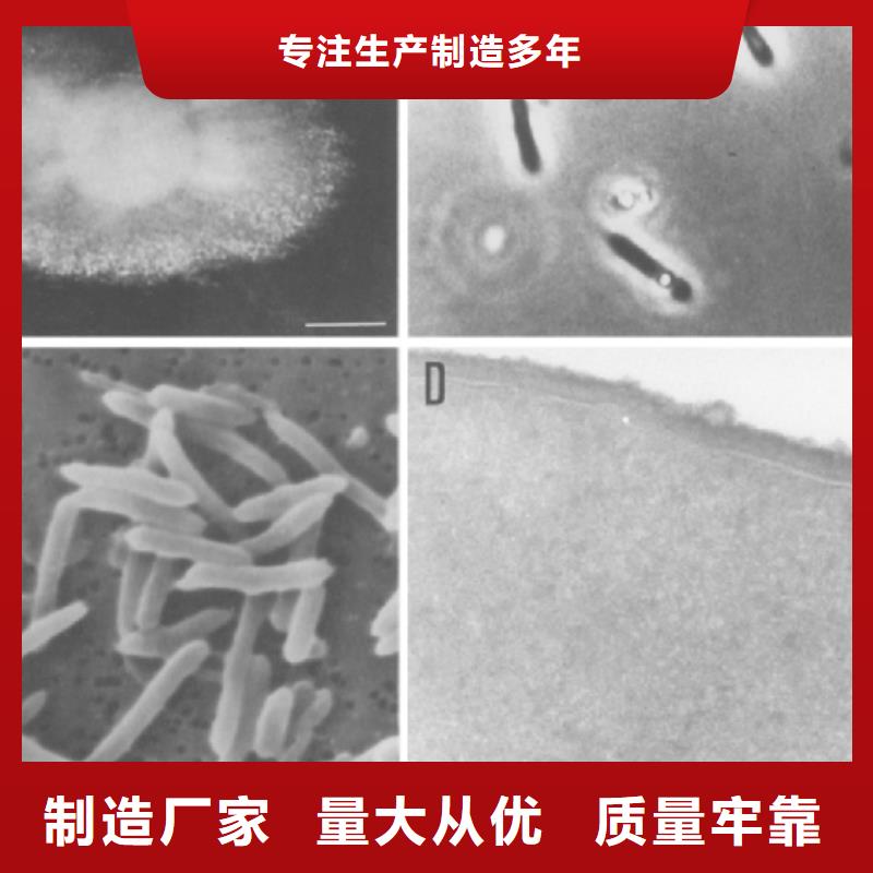 碳源(乙酸钠)批发