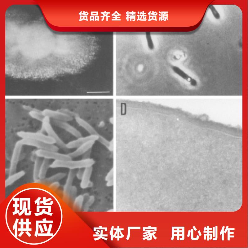 醋酸钠(碳源)货源