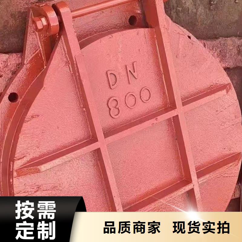 水电站铸铁闸门工厂直销