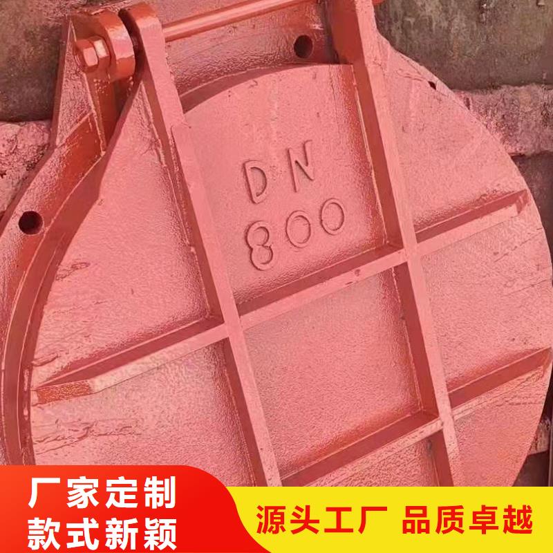 镶铜铸铁闸门厂家现货