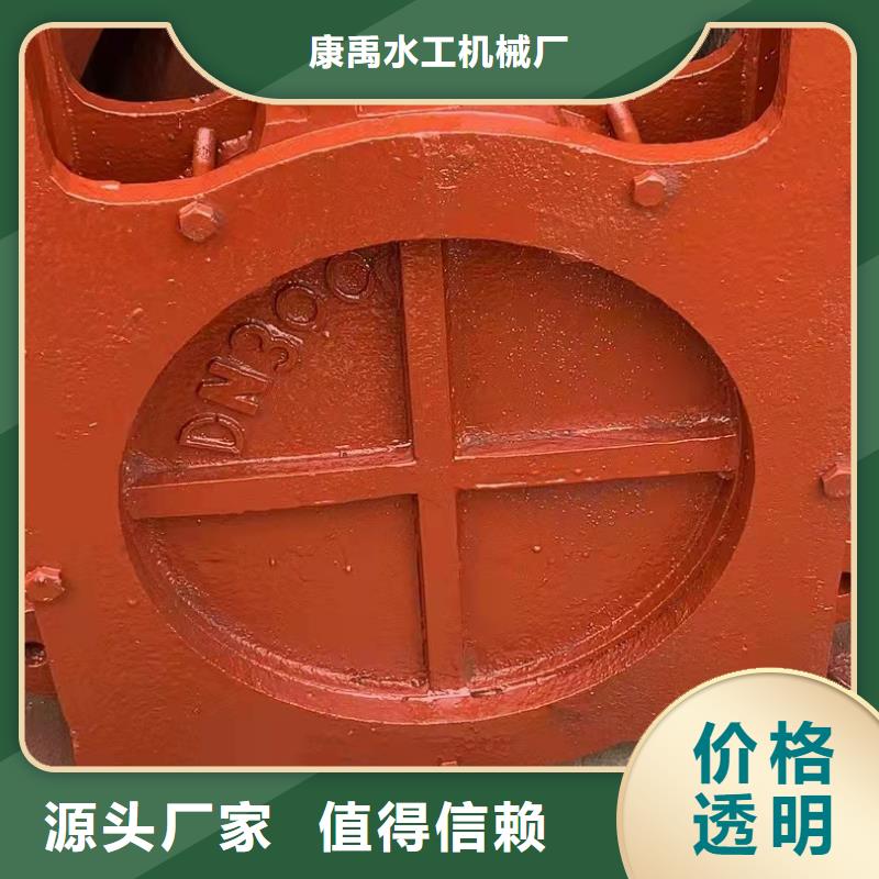 插板铸铁闸门工厂直销