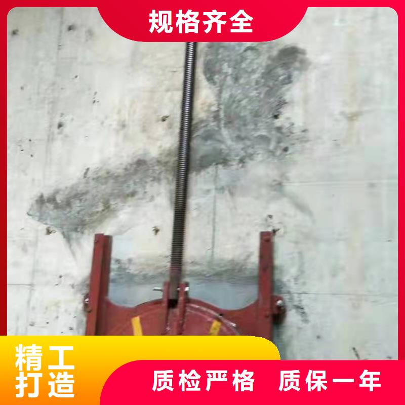 双向止水闸门规格齐全