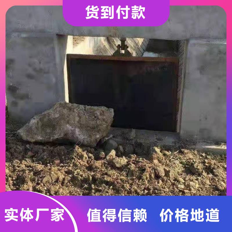 镶铜铸铁闸门价格低