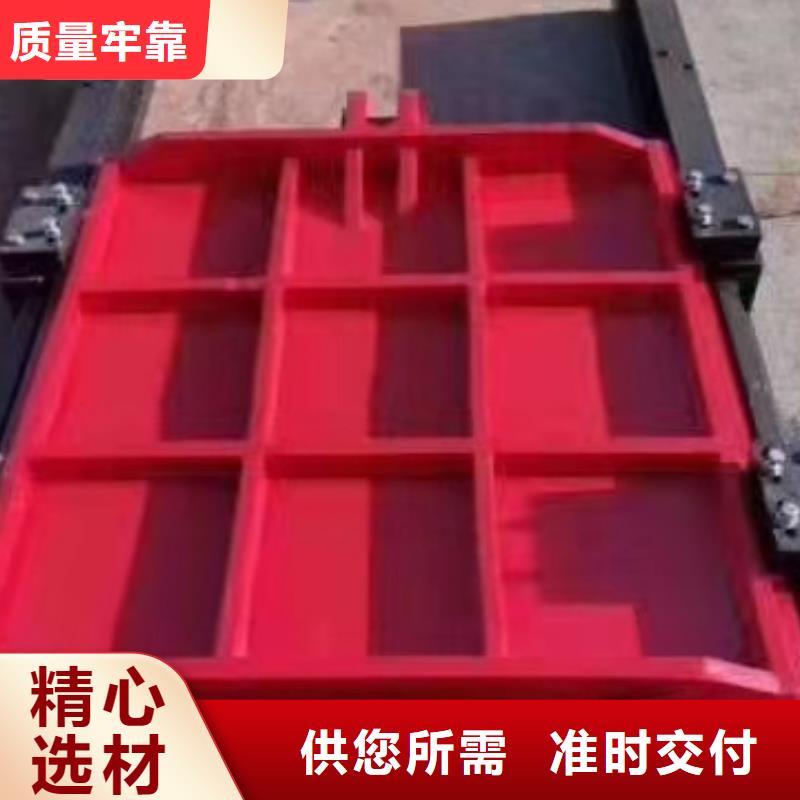 镶铜铸铁闸门欢迎电询