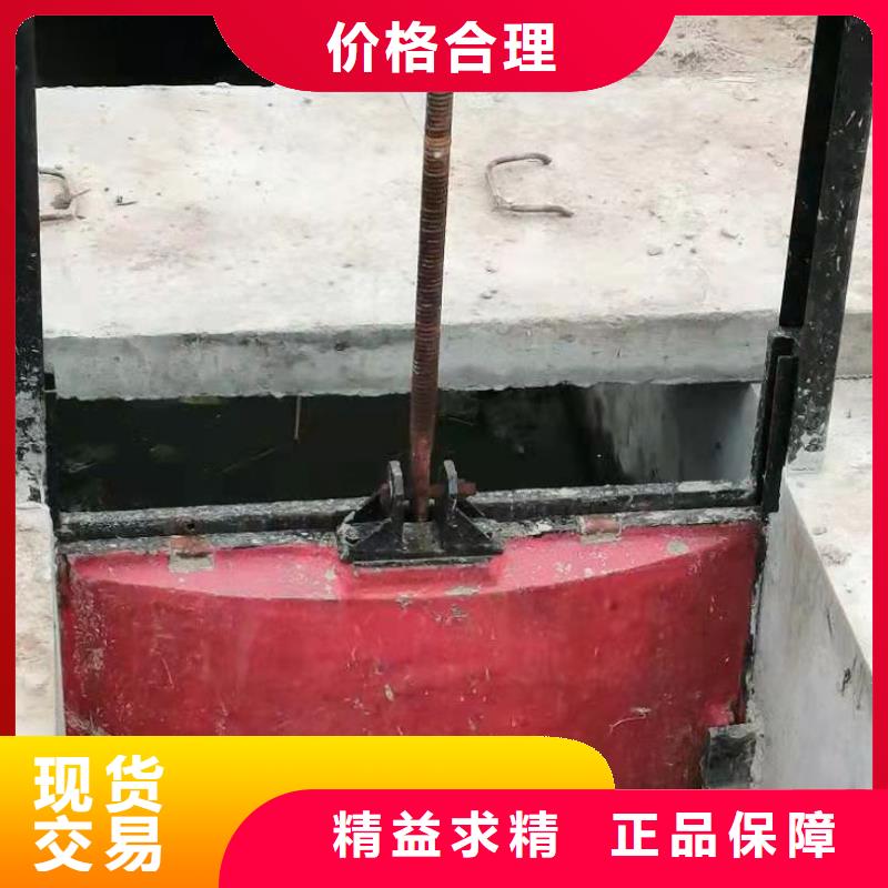 双向止水闸门源头生产厂家