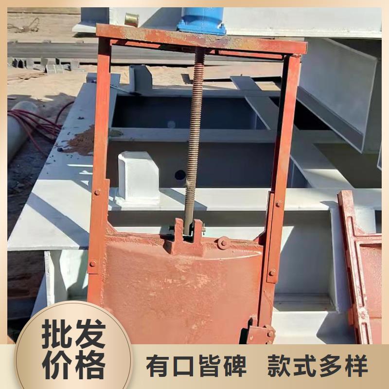 铸铁闸门启闭机闸门厂家实体诚信经营