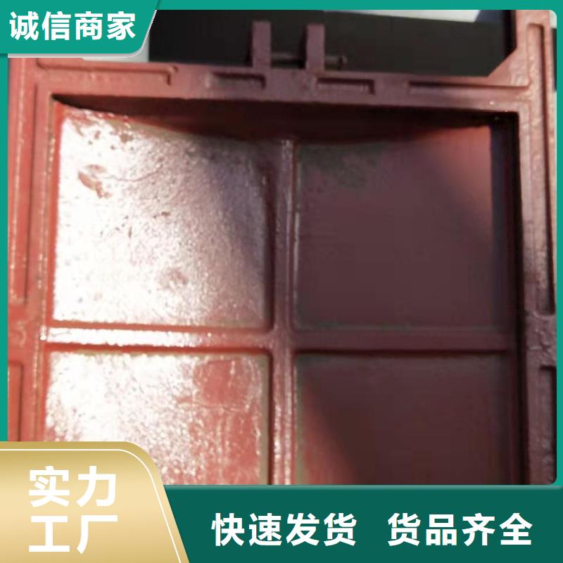 水电站铸铁闸门欢迎电询