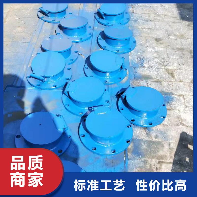 附壁式铸铁闸门免费指导安装