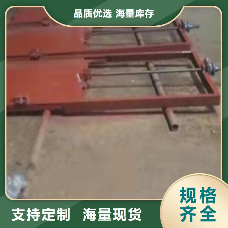 手提铸铁闸门支持定制