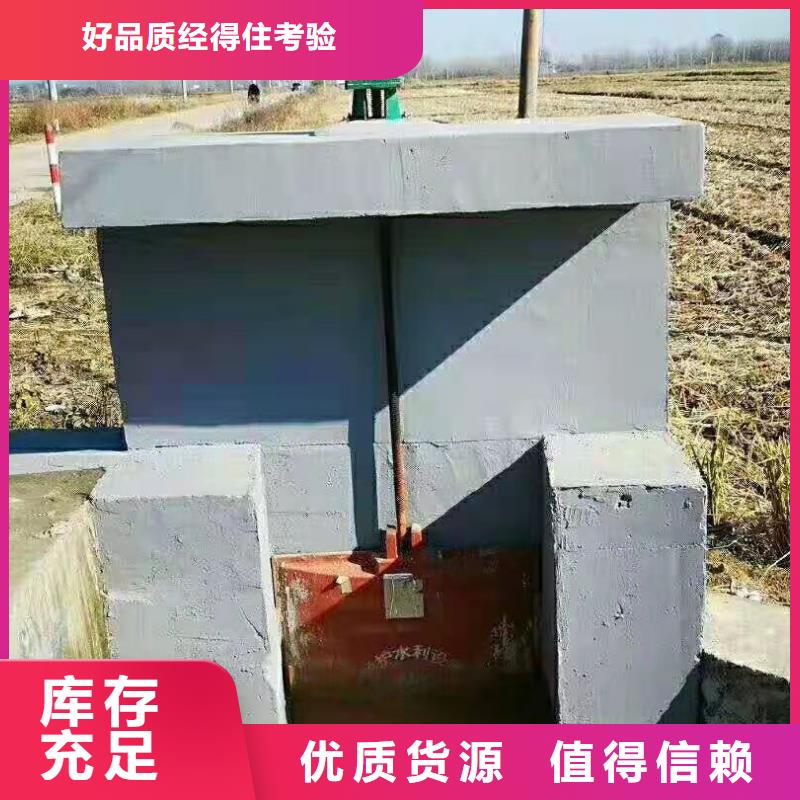 扇形闸门生产厂家