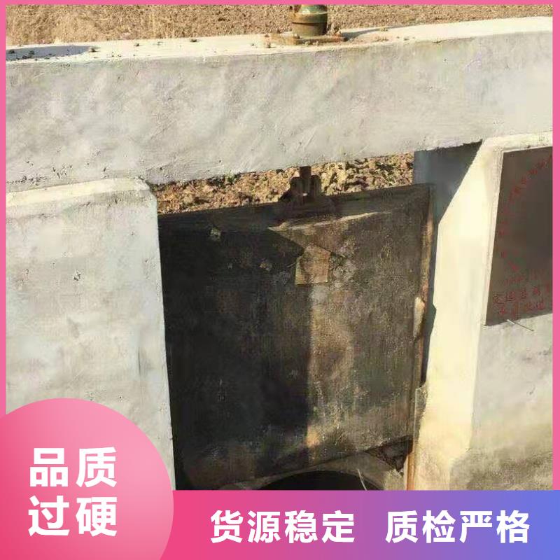 铸铁闸门钢制拍门专业生产厂家