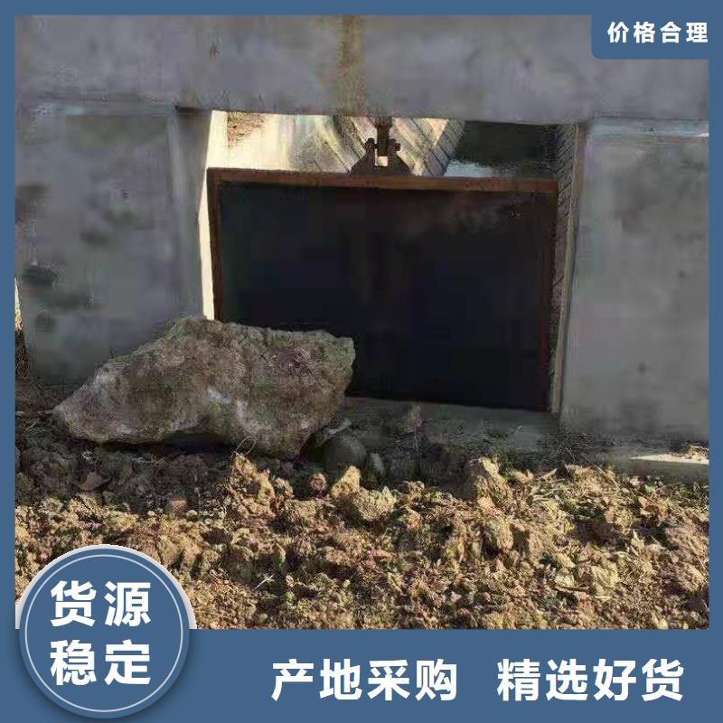 泵站铸铁闸门生产厂家