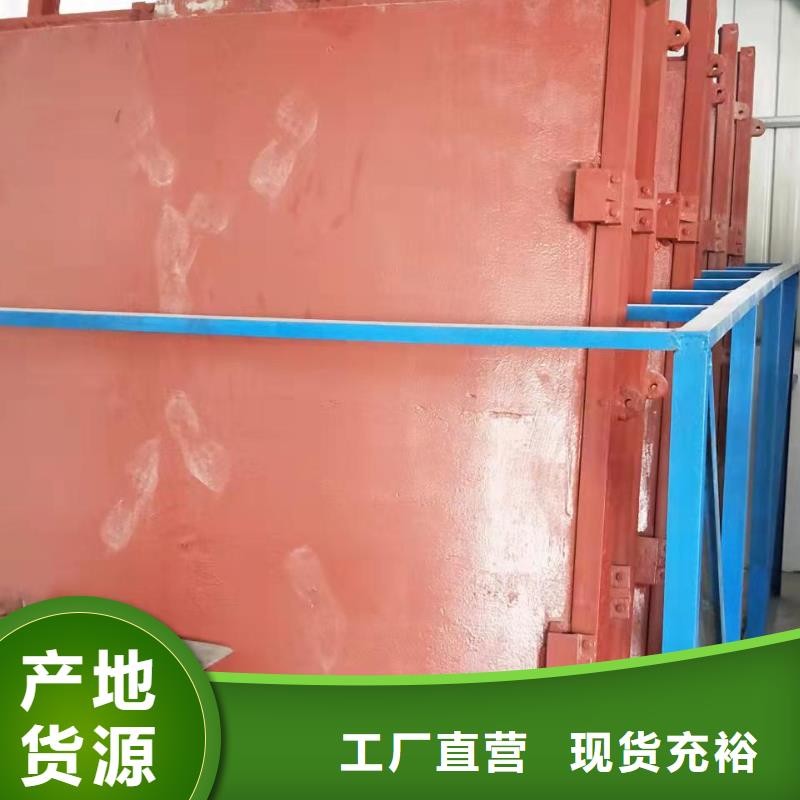 泵站铸铁闸门支持定制