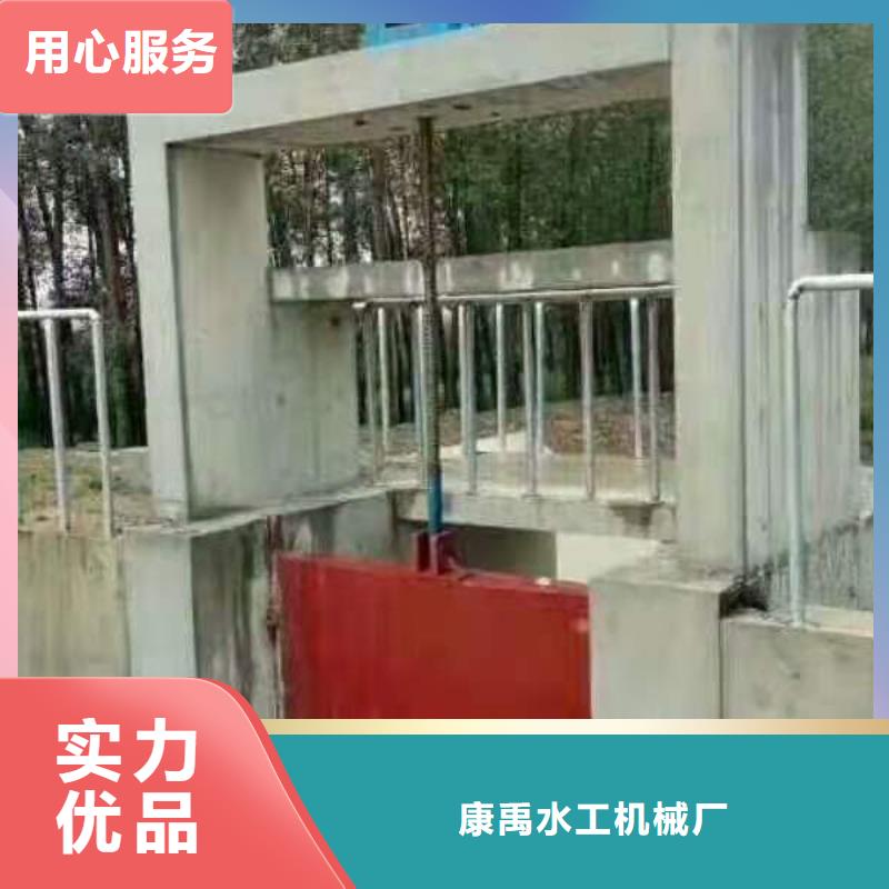 扇形闸门支持定制