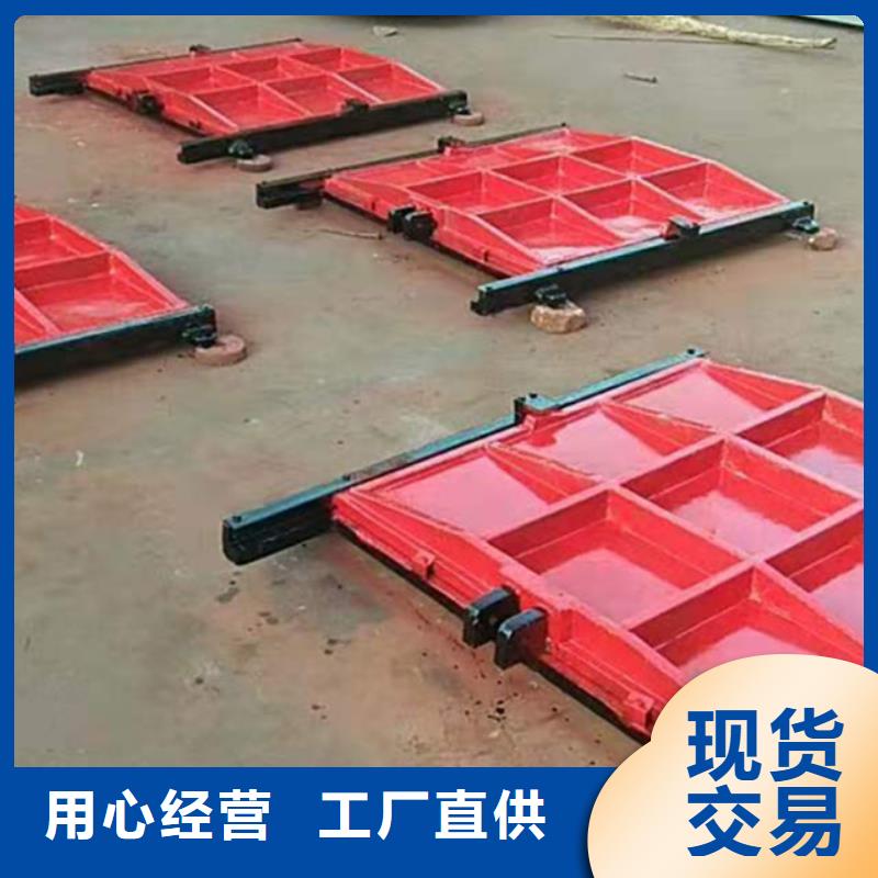 镶铜铸铁闸门价格低