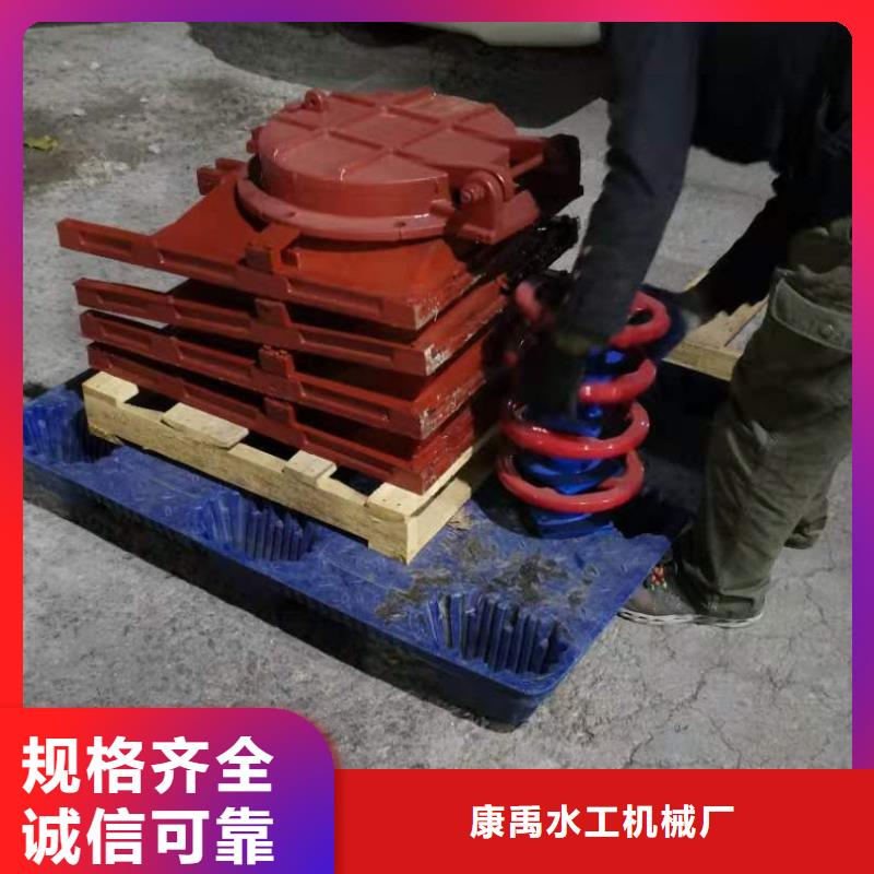 插板铸铁闸门厂家现货