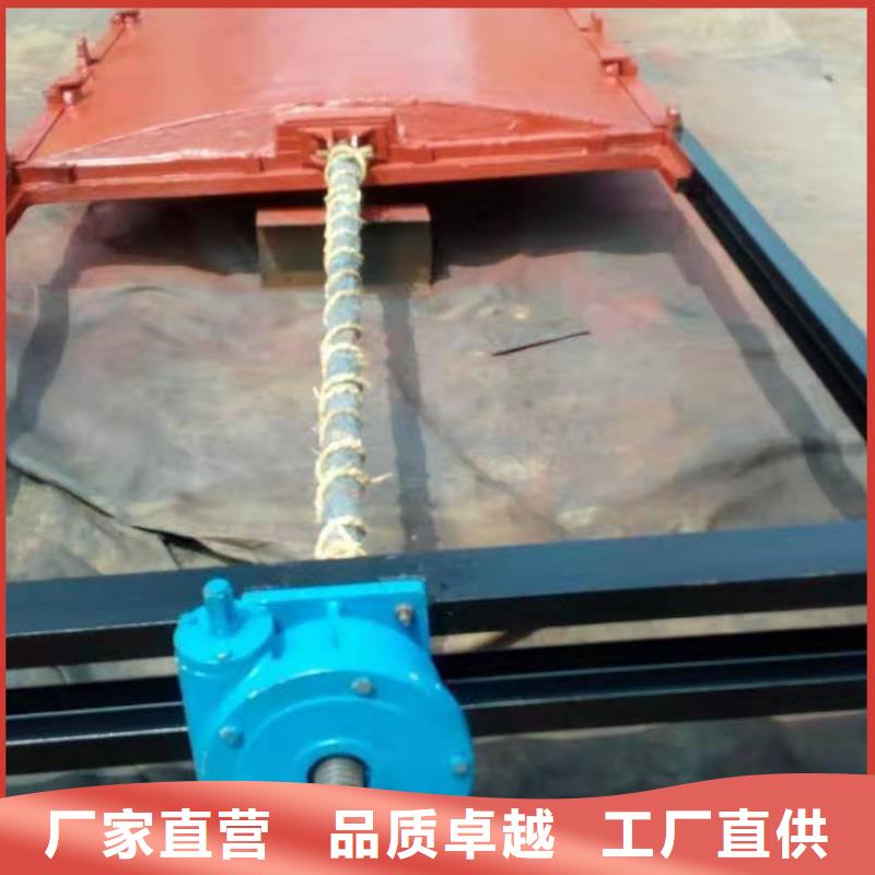 扇形闸门支持定制
