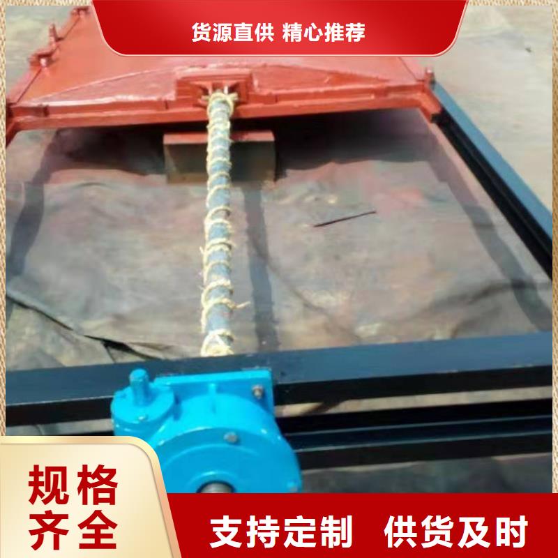 铸铁闸门翻板闸门优选厂家