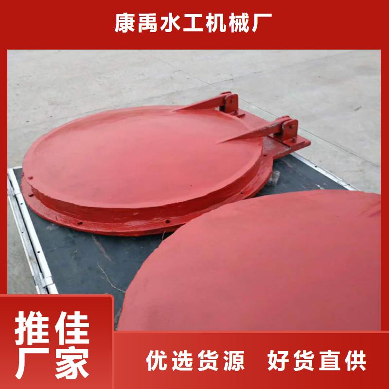 水电站铸铁闸门工厂直销