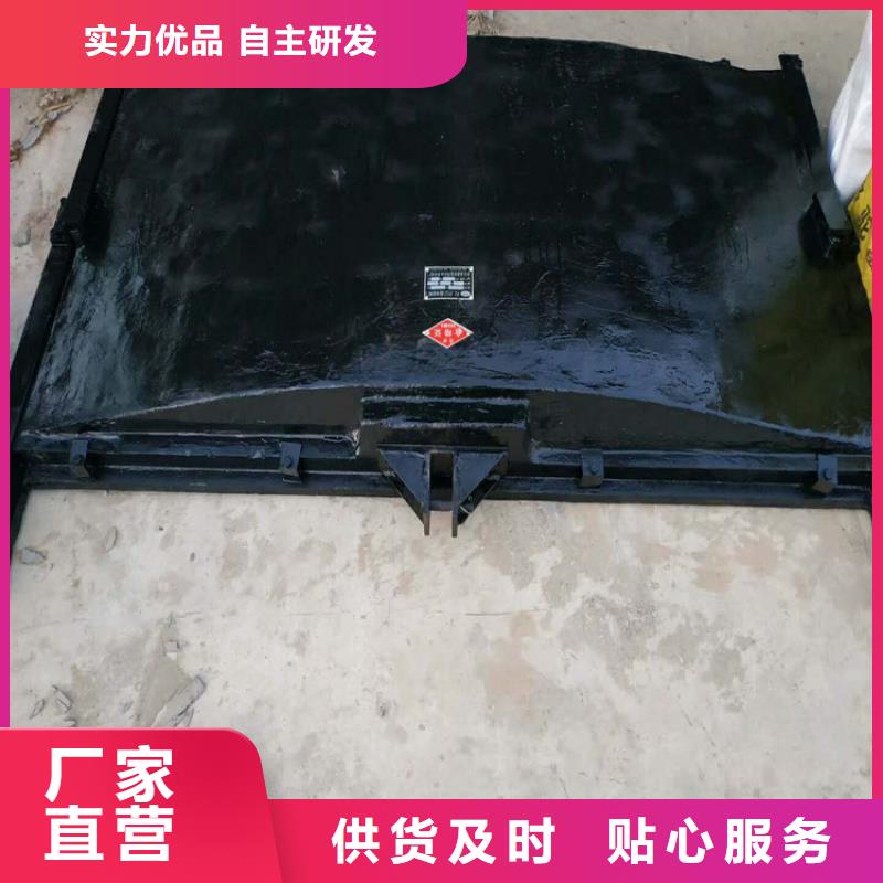扇形闸门可定制