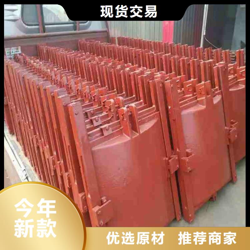机闸一体式铸铁闸门免费提供报价