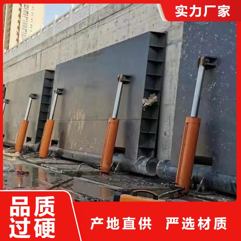景观钢闸门生产厂家