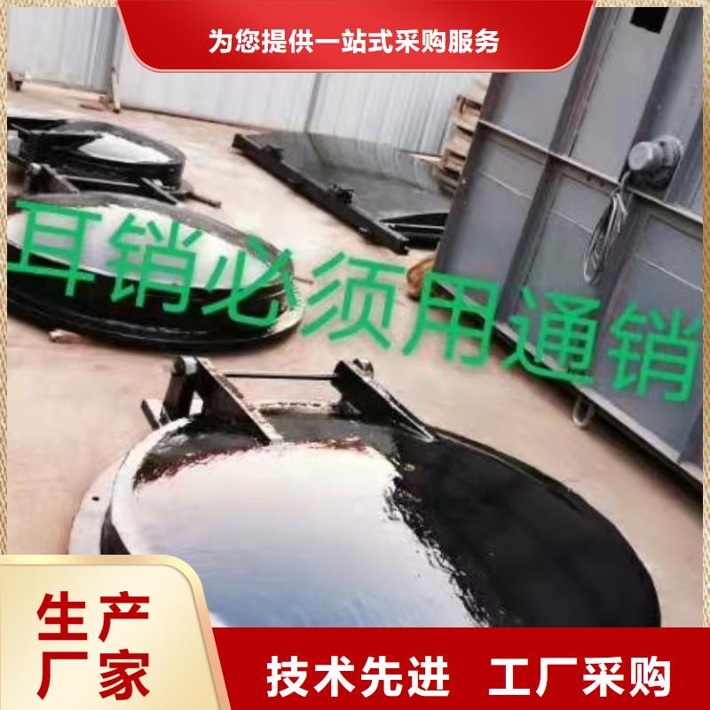 钢制拍门厂家