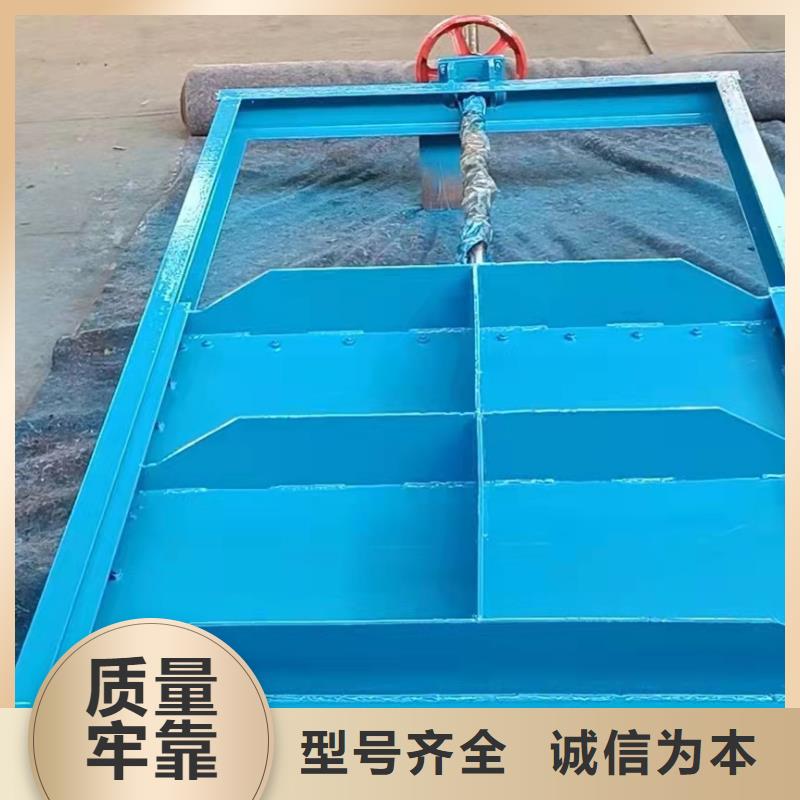 钢坝闸门生产厂家