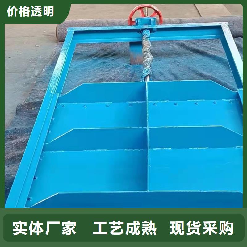 钢闸门品质无所畏惧