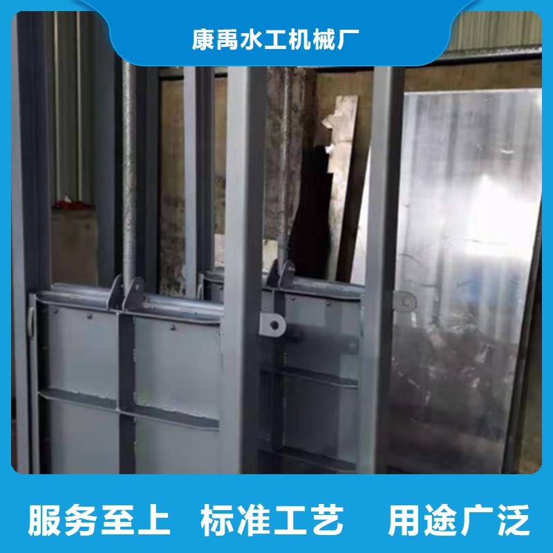  钢闸门专业品质