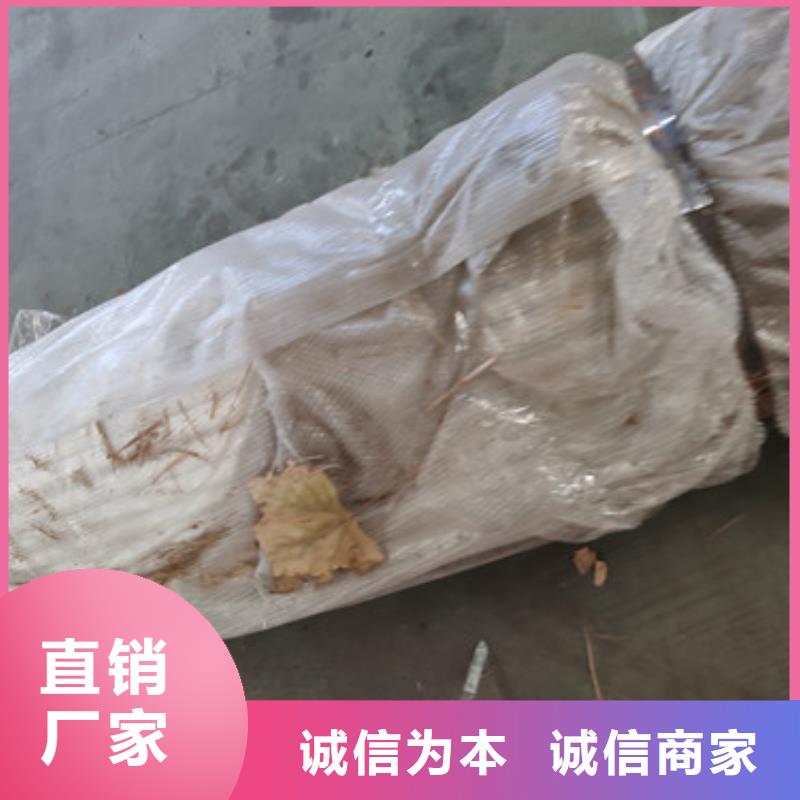 防撞铁艺灯箱护栏批发价格低