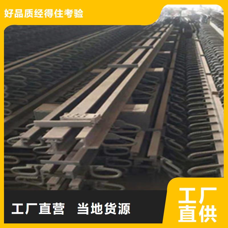 桥梁伸缩缝F型
