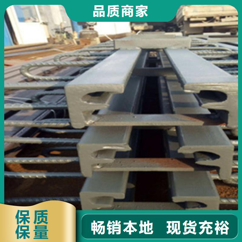 桥梁tst伸缩缝支持加工定制生产厂家