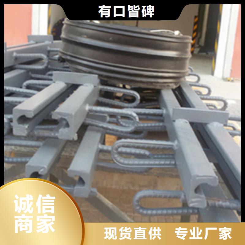 模数式伸缩缝按图纸定做