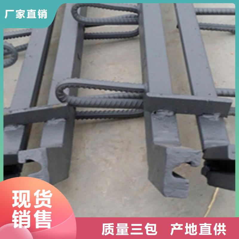 公路桥梁伸缩缝F型