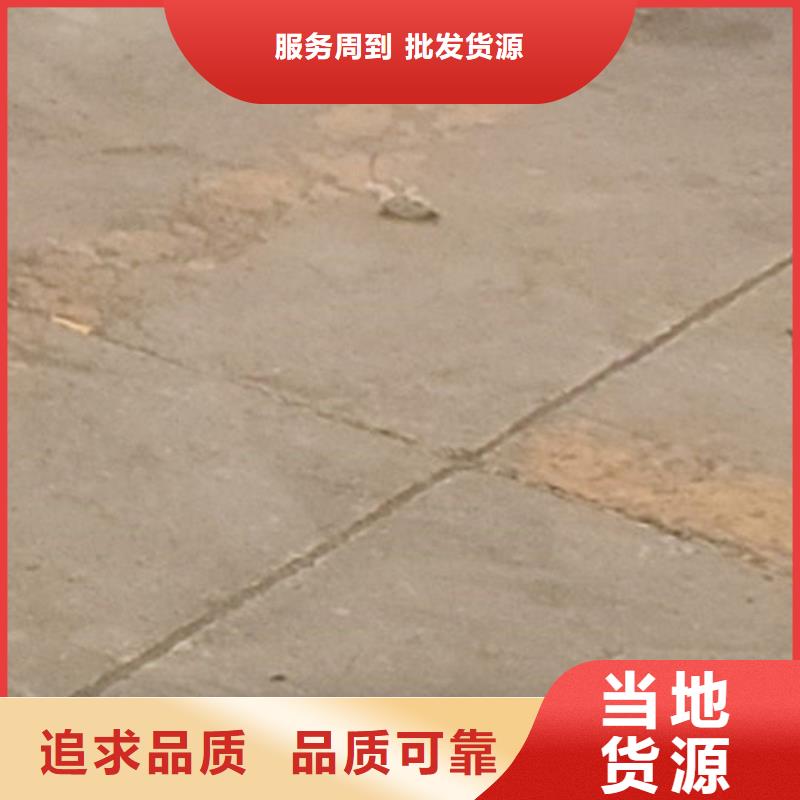 【护栏】灯光防撞护栏货源报价