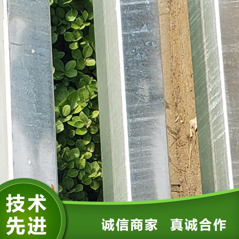 桥梁栏杆价格公道