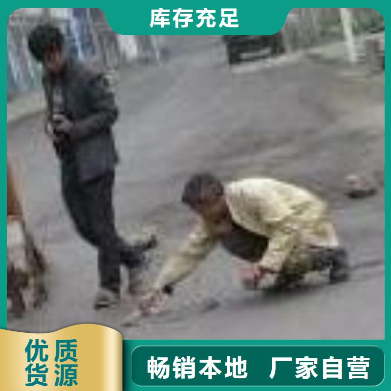 修补料灌浆料支持加工定制