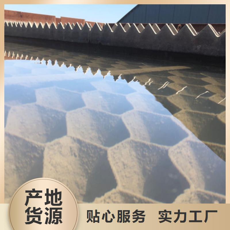 洗砂白药地区销售