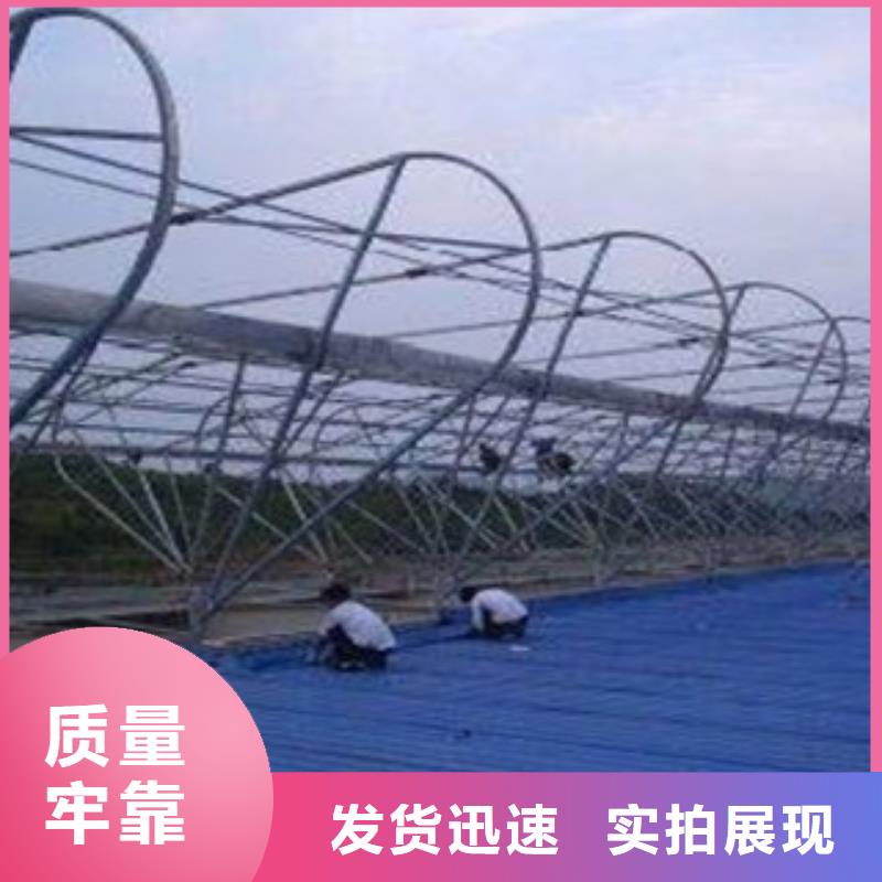 通风设备屋脊通风天窗厂家直接面向客户