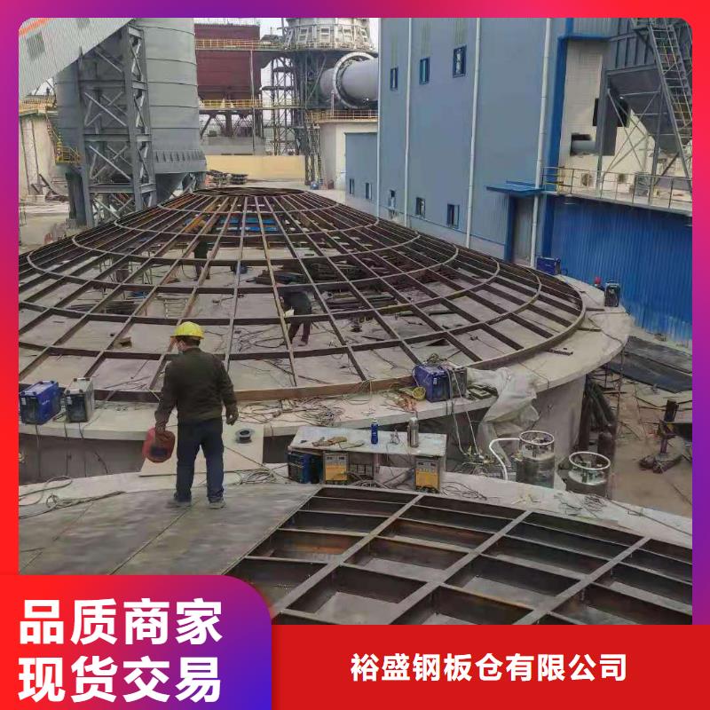 粉煤灰库粉煤灰钢板仓当地货源