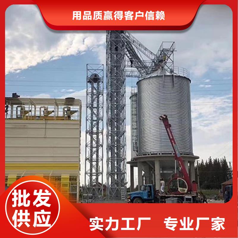 专业销售1000吨粮食仓厂家