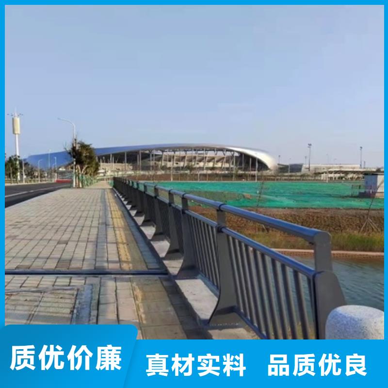 护栏多年实力厂家