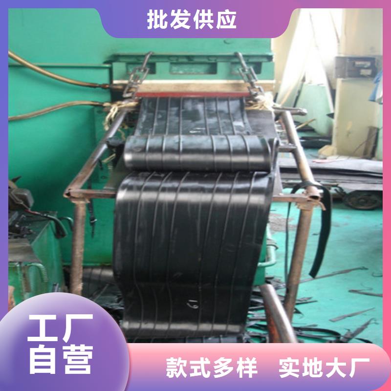 【橡胶止水带,球铰支座实地大厂】